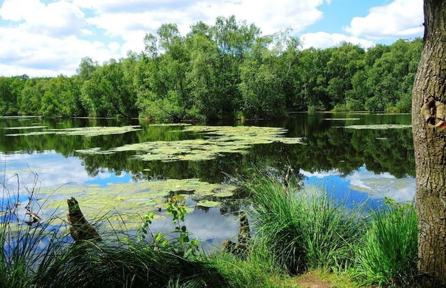 Am Konigsberg, Luebeck - Foto 18