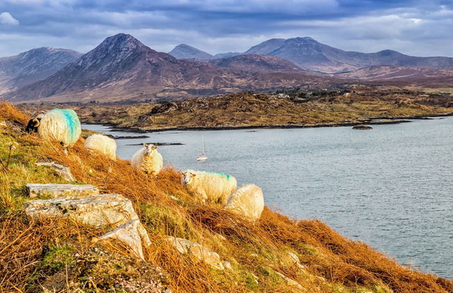 Galway Bay Lodge - Foto 18