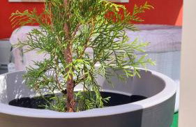 Cosy home D&D - Foto 49