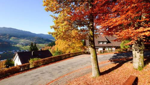 Café Pension Waldfrieden - Foto 4