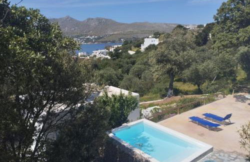 The Velanidies - Οι Βελανιδιές - Foto 4