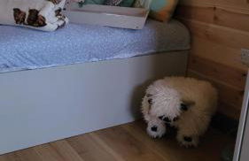 Cater Tober Haven - Photo 10