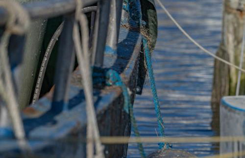 Ferienhaus Amrai auf der Insel Rügen - Foto 24