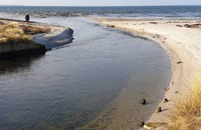 5 Person Holiday Home in Store Fuglede - Foto 26