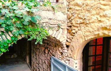 Grande maison en pierre au coeur du village provençal du XIe siecle 10 personnes - Foto 9