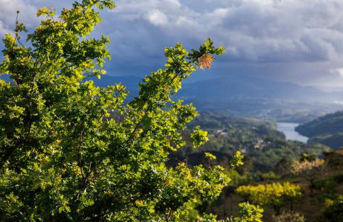 Casa Belavista no Geres by In'Canto Property Management - Foto 39