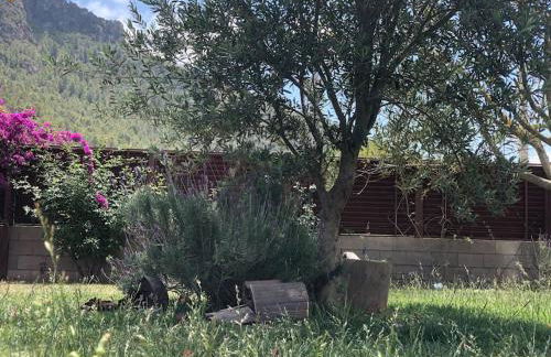 Villa Xauxa - Vida mediterránea - Foto 35