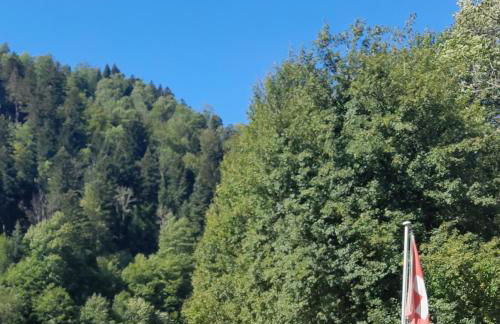 Soubey (Clairbief) - Foto 14