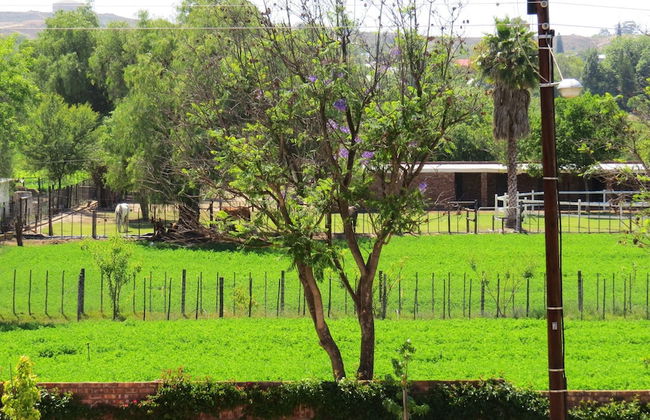 21 Klein Karoo Street - Foto 26