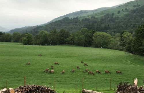 Lochay Lodges - Foto 5