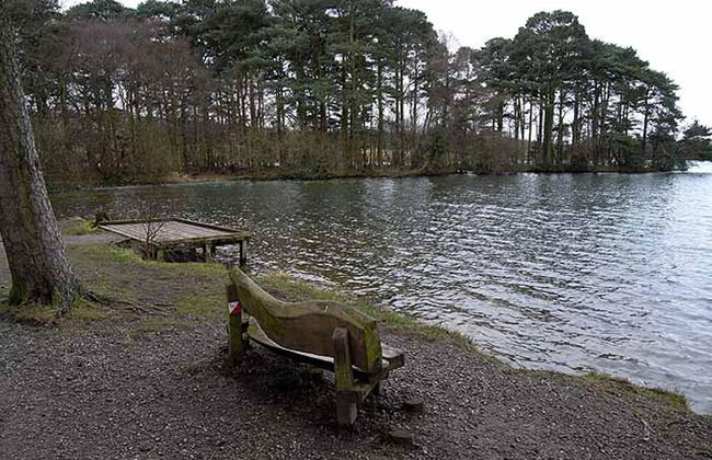 Beautiful 2-bed Cottage in Brampton - Foto 19