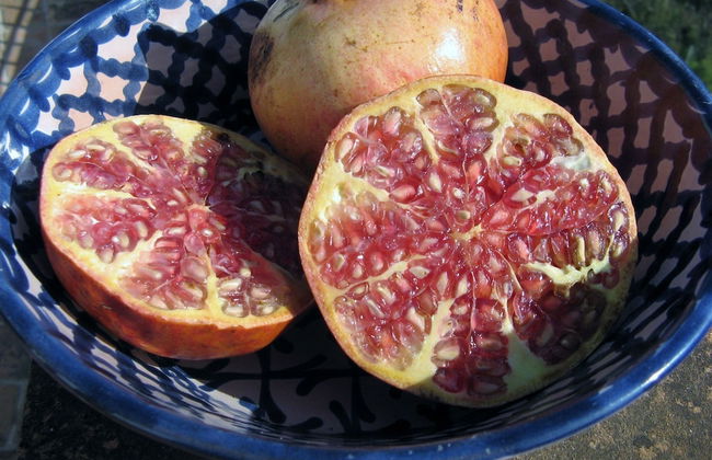 Seaside House 2 Double Bedrooms With Spectacular Mountain Sea View - Foto 10