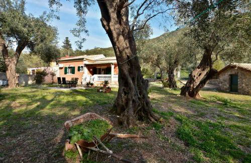 Sunset Cottage - Photo 29