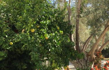 Livanina apartments - Foto 34