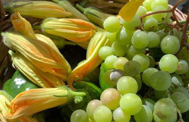 Oak Farm Traditional guesthouse - Foto 24