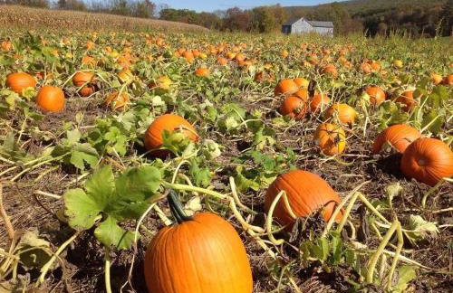 Lakefront Home, Hot Tub, Pool Access, Boats, Pets - Photo 79