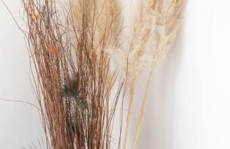 Nireas Blue Balcony by Raise - Foto 33