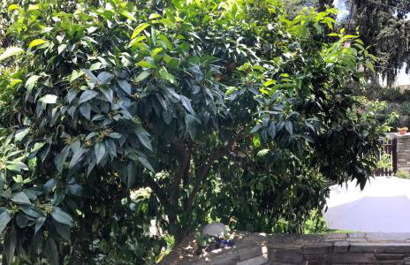 Mountain Breeze Sanctuary - Foto 23