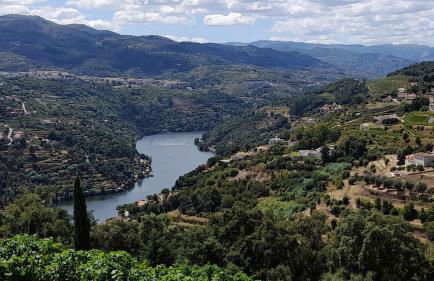 Miguas House - Foto 23