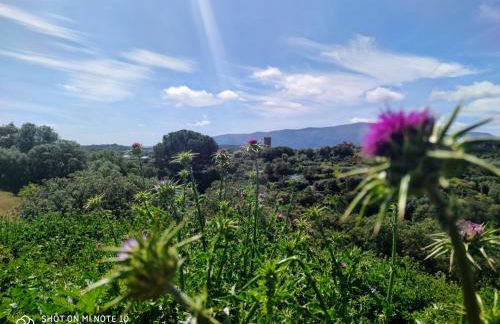 Tu Casa de Pueblo - Photo 38