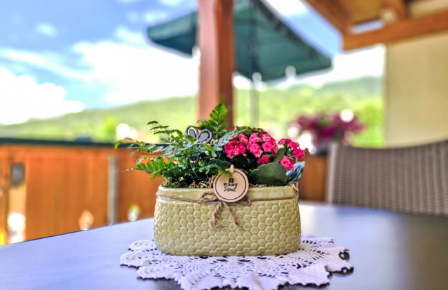 Lueg ins Land - Foto 30