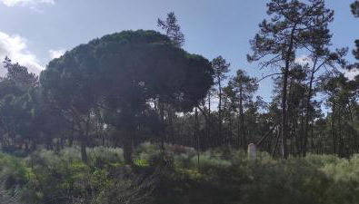 Casa do Poço - Foto 2