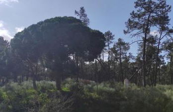 Casa do Poço - Foto 2