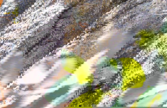 Vila Flor - Chapada dos Veadeiros - Foto 33