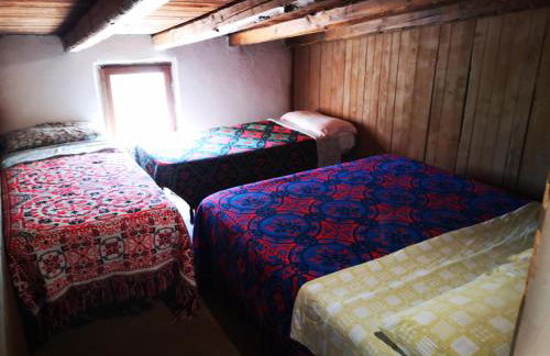 Pinnettu sardo casa di campagna in ecosistema insetti e animaletti simpatici in condivisione,Leggere attentamente Prima di prenotare - Foto 58