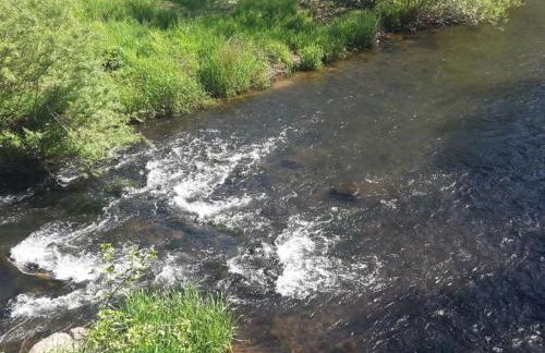 Apartment in Zendscheid mit Offenem Kamin by Interhome - Foto 39