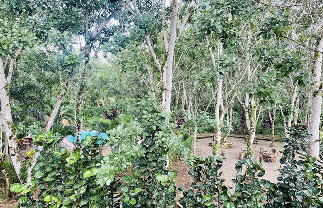 Eco Hotel Pata Palo - Foto 11