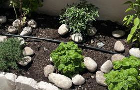 Aria di Mare - Foto 25