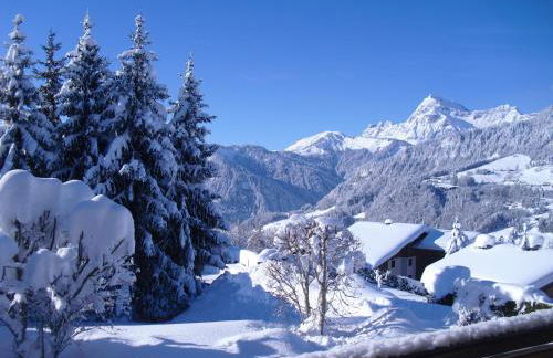 CHALET LA LICORNE 1 - pied des pistes - Photo 29