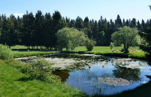 Kammbaude Neuhermsdorf - Foto 38