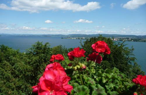 Ferienwohnung Neubacher - Foto 35