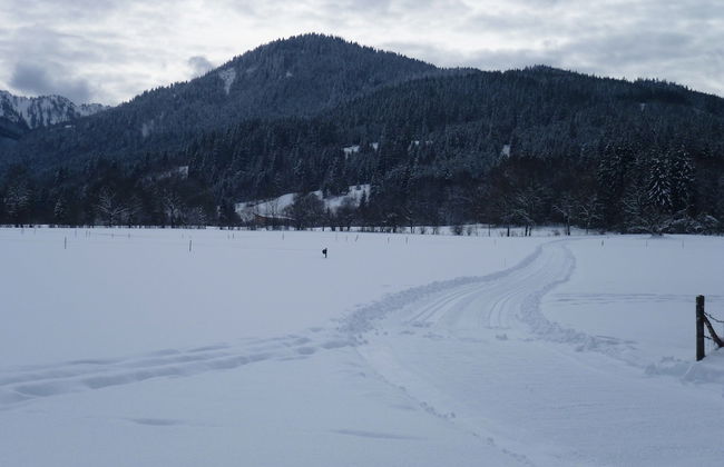 Farmhouse Near Oberammergau - Foto 38