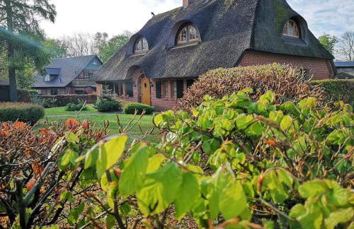 Reethaus mit Meerblick- In 30 Sekunden am Strand - Foto 1