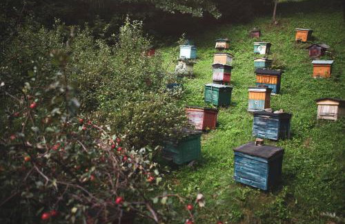 Pasieka - Dom Wypoczynkowy - Foto 29