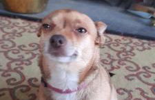 Hilltop Lodge - Foto 11