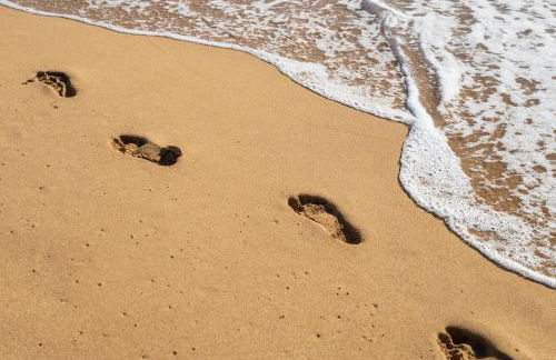 Oceanfront Paradise Room with Pool and Oceanviews - Foto 15