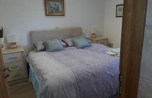 Lady lane stables - Foto 13