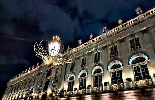 Proche Nancy centre, à quelques pas des Thermes et du campus ARTEM, appartement calme avec parking gratuit - Foto 13