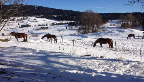 Gîte du Grand Cher - Foto 3