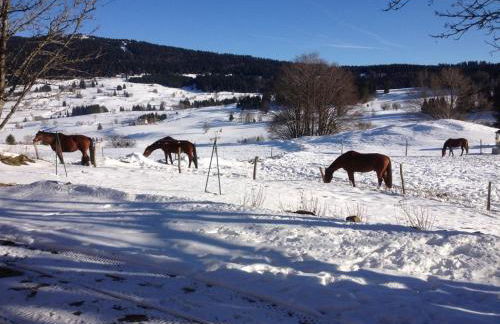 Gîte du Grand Cher - Foto 3