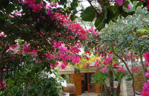 Villa Alma Komiza Island Vis - Photo 26