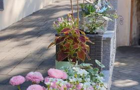 Ferienwohnung Sonnenschein Familie Hamdorf - Photo 16