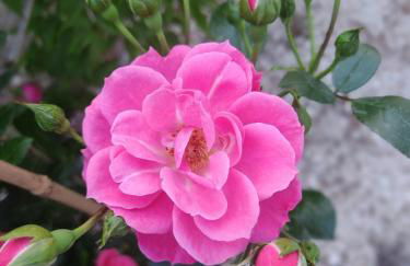 Lunamora 4 - Foto 27