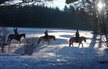 Ferienhof Gerda - Foto 9