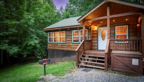 Cozy Cabin Retreat Near Helen Hot Tub Fireplace - Foto 3
