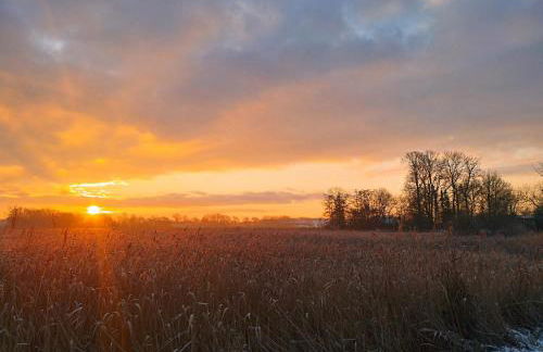 Landkate im Dorfkern - Foto 27